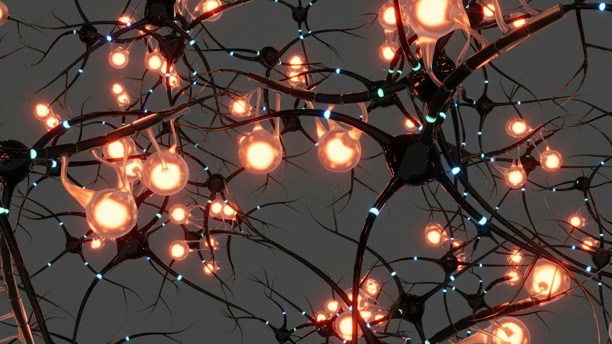 A neuron seen through a microscope