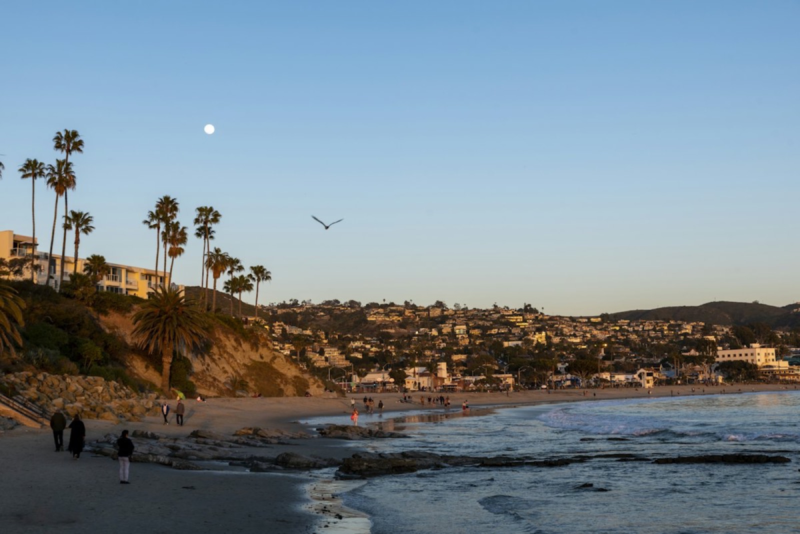 Laguna Beach at dusk, the coast curving toward the town lights